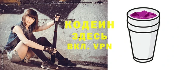 шишки Осинники
