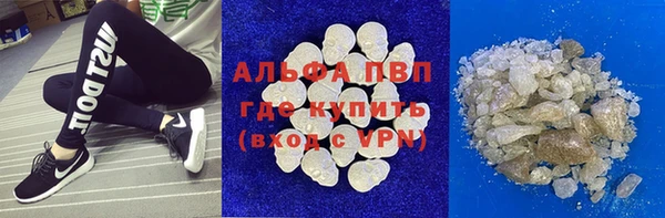 шишки Осинники